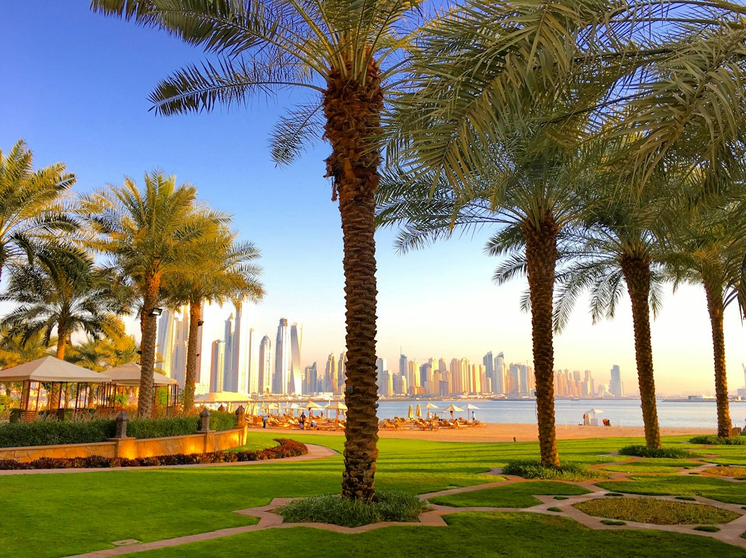 Luxury hospitality landscaping with palms in Dubai